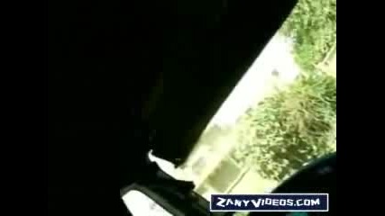 Convoy Ambush In Iraq