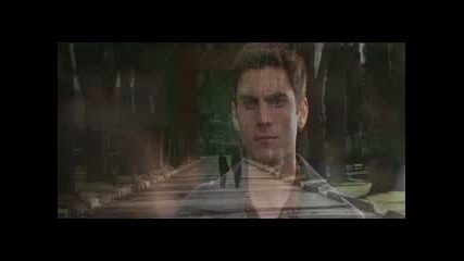 Evanescence - Before The Dawn /American Beauty
