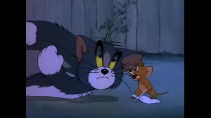 [hq] Tom and Jerry [hq]