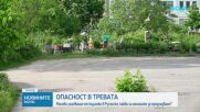 Какво да правим при ухапване от кърлеж