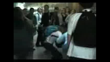 Cat Fight At School