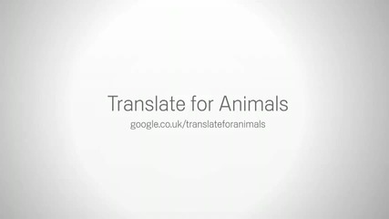 Превод от животински език - Кокошка 2 