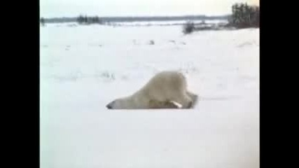 Uff Ponedelnik