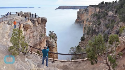 Number of Young Visitors Plummets