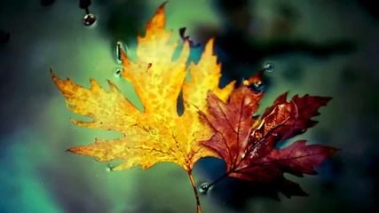It's Not Goodbye - Sweet November
