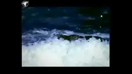 Pappa Bear Ft. Jan Vd Toorn - When the rain begins
