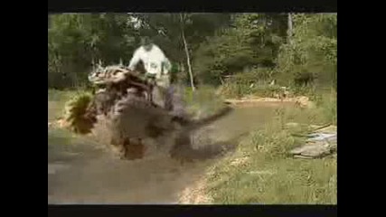 Atv vs Landcruiser