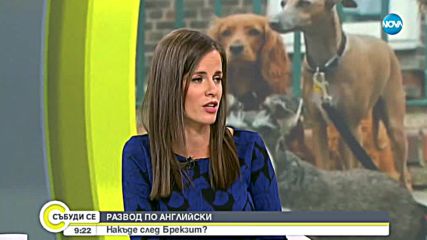 РАЗВОД ПО БРИТАНСКИ: Накъде след Brexit?