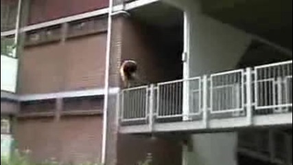 Nuttcracker freerun sampler 2006