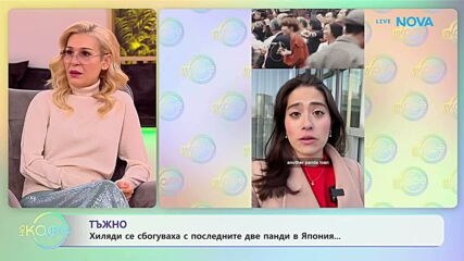 Хиляди се сбогуваха с последните 2 панди в Япония | На кафе | 27 януари 2026