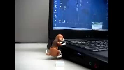 :d 