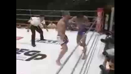 Mma Knockouts 