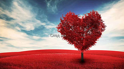 I still remember you 6ep