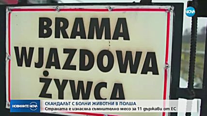 Полша е изнесла близо 3 тона съмнително говеждо месо за ЕС