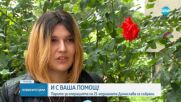 Добра новина: Събраха парите за лечението на Димислава, която се бори с тежко заболяване