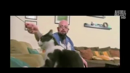 My Cat from Hell s03e04 Full Episodes
