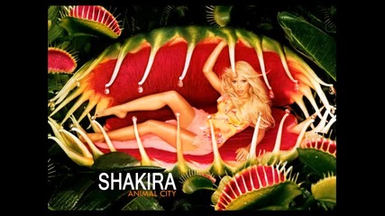 Shakira - Animal City (instrumental)