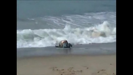 Ето така не трябва да влизате в морето