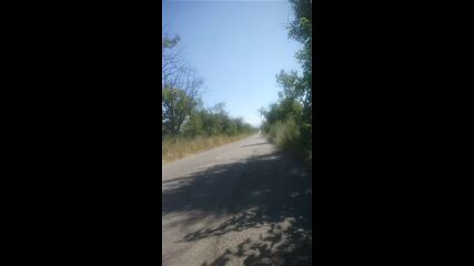 Vid_20230729_101322.mp4