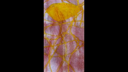 Vid_20230415_171249.mp4