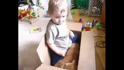 Малко дете си играе с голяма котка 