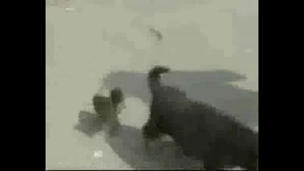 Влюбени До Живот - Смях
