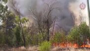 Мащабна евакуация в щата Куинсланд заради мощни пожари (ВИДЕО)