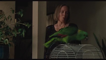 A Bird Of The Air - Jealousy