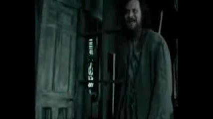Harry Is Still Here