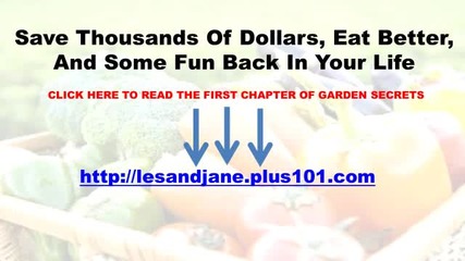 How To Build An Organic Garden