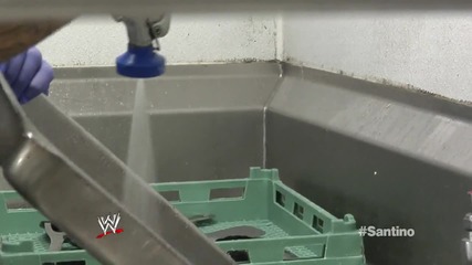 Шоуто на Сантино Марела с гост Майкъл Мъгиликъти