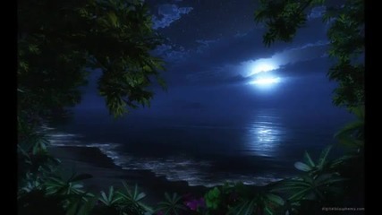 T.m.-joy - I Wish You Were Here
