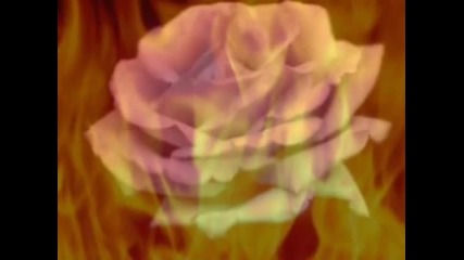 Jose Feliciano - Light My Fire (1967) 