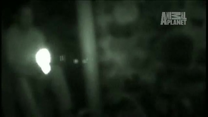 The Haunted- Wall of Death
