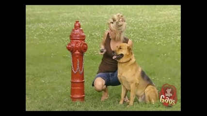 Скрита Камера