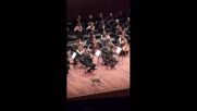 Котка "нахлу" на сцената на концерт в Истанбул (ВИДЕО)