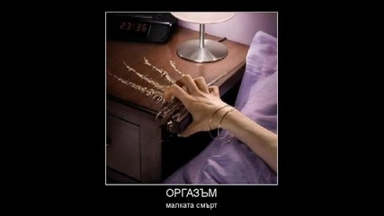Най-откачените снимки събрани от Нета[1]
