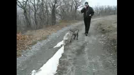 P1050476.mp4