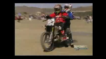 Stunt Junkes