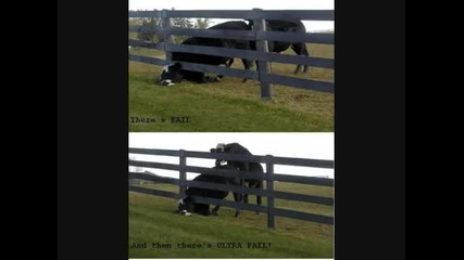 Fail Picture Compilation 2010. (hq)