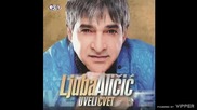 Ljuba Alicic - Mala soba tri sa tri - (Audio 2011)
