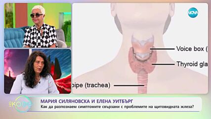 Модерната сол – риск за щитовидната жлеза