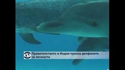 Правителството в Индия призна делфините за личности