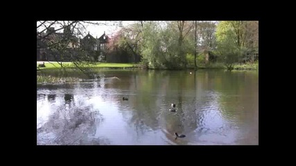 David Lanz - True Nature ( Отдай Се На Релакса)