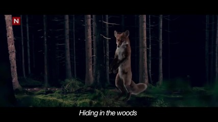 Ylvis - The Fox (what Does the Fox Say?) [official music video Hd]