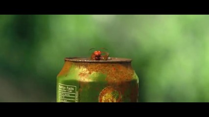 Дребосъчета - Долината на изгубените мравки (2013) » Minuscule - Valley of the Lost Ants