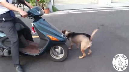Компилация Катастрофи