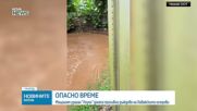 Проливни дъждове и опасно вълнение на Хаваите заради мощния ураган „Лоуел“