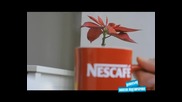 Nescafe 3in1 Стани режисьор Победител "червената чашчица"