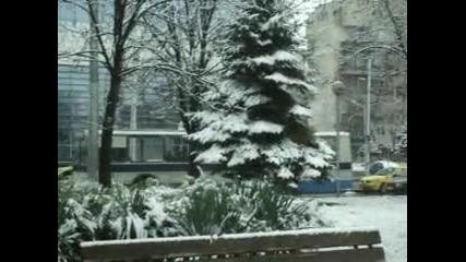 Тролейбусен Транспорт Плевен 